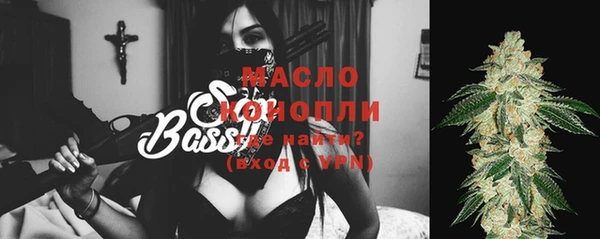таблы Бородино