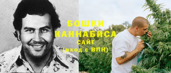 таблы Бородино