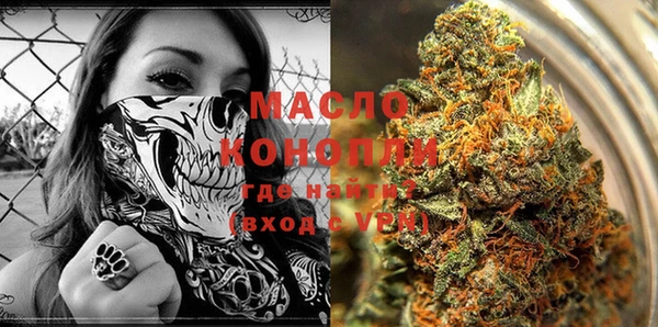 таблы Бородино