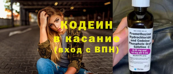 таблы Бородино