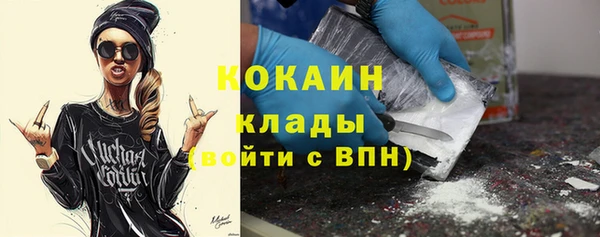 твердый Бронницы