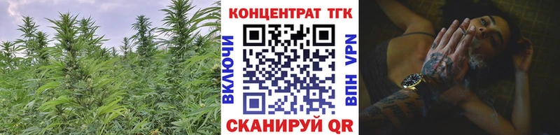 ТГК вейп с тгк  даркнет сайт  Киржач 